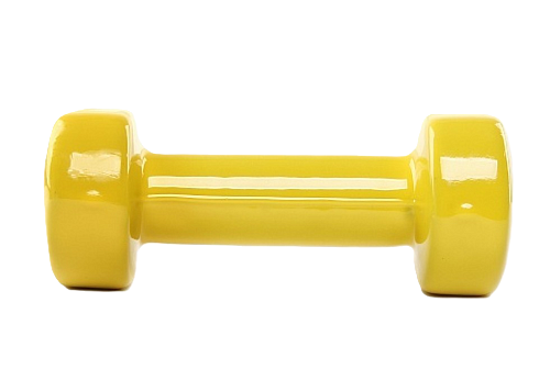 Гантель виниловая Start Up 2 кг (NT08010)