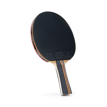 Ракетка Torres Master 3* (TT23007)