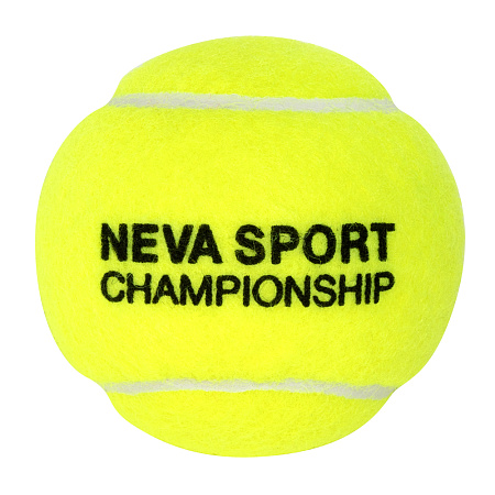 Мяч NS Neva Sport ChampionShip x3 (124002/124001)