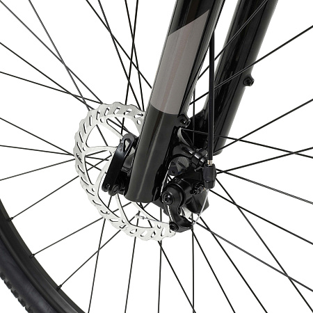 Велосипед Welt Raven 1.0 D 29"  