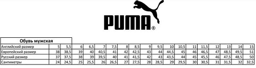 Кеды Puma MN Smash v2 (36498901)