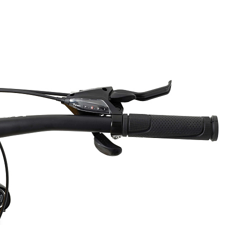 Велосипед Welt Raven 1.0 D 29"  