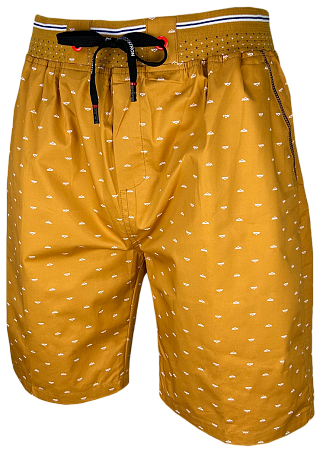 Шорты NN MN (698)