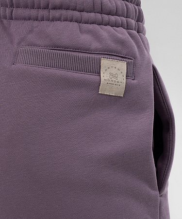 Брюки Nordski WN Freedom (NSW656707)